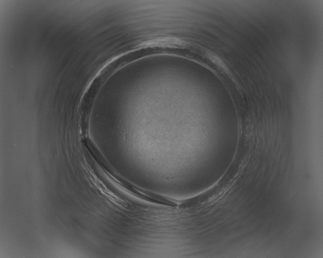 X0000054400923200508011318