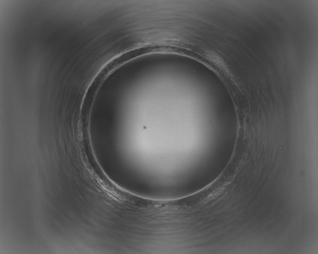 X0000054400924200508011318
