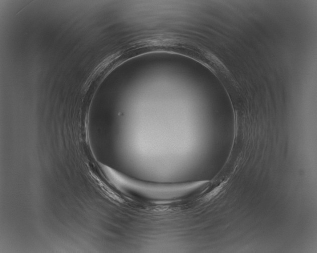 X0000054400930200508011318