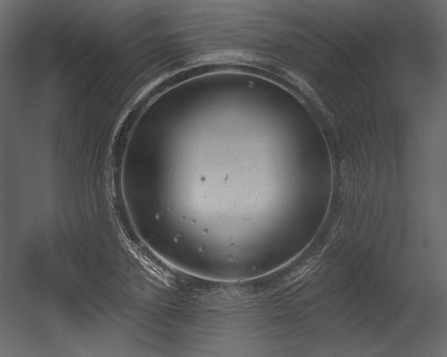 X0000054400931200508011318