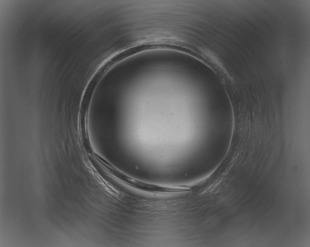X0000054400932200508011318