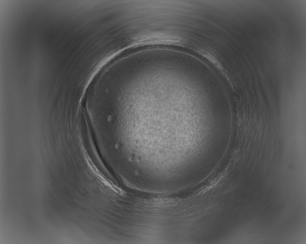 X0000054400933200508011318