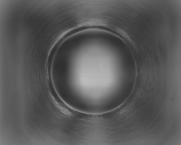 X0000054400934200508011319