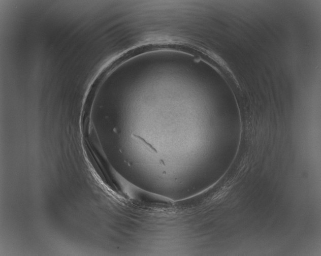 X0000054400935200508011319