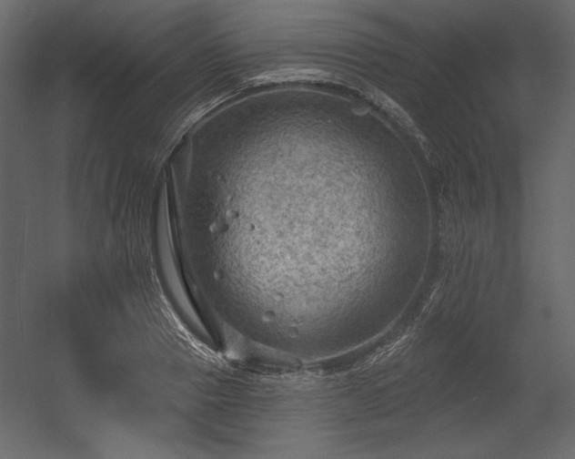 X0000054400937200508011319