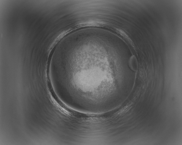 X0000054400938200508011319