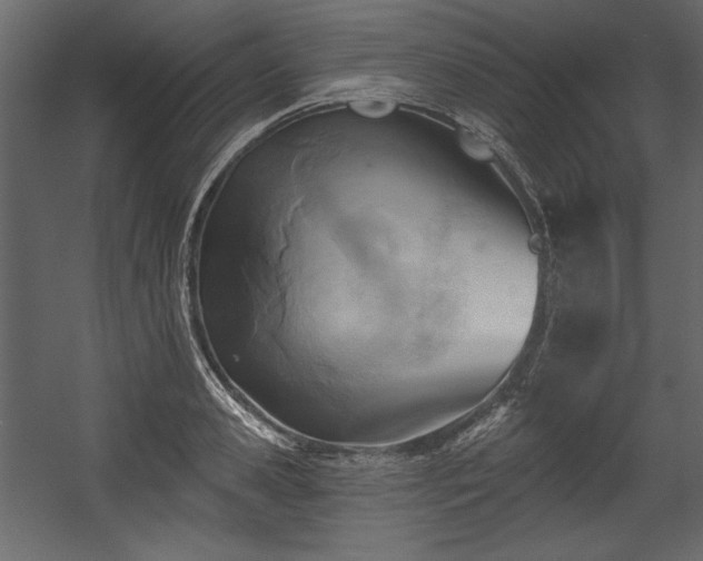 X0000054400941200508011319