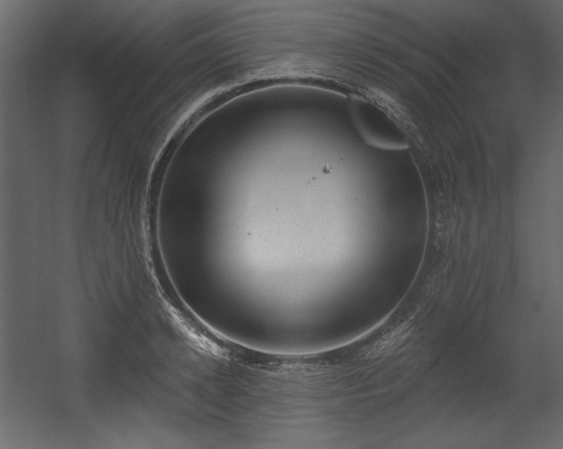 X0000054400942200508011319
