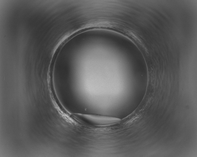 X0000054400944200508011319