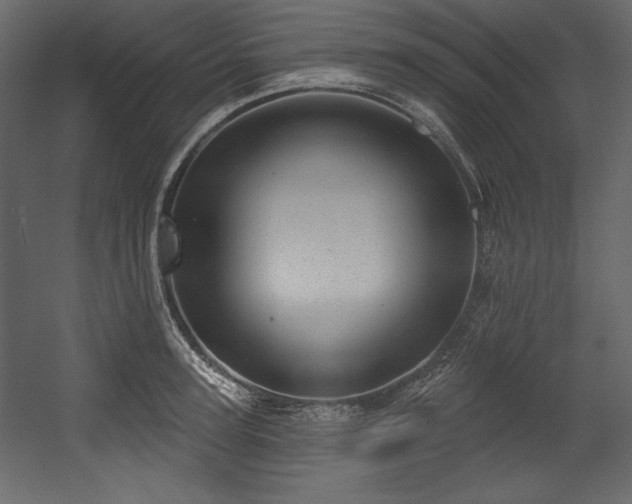 X0000054400947200508011319