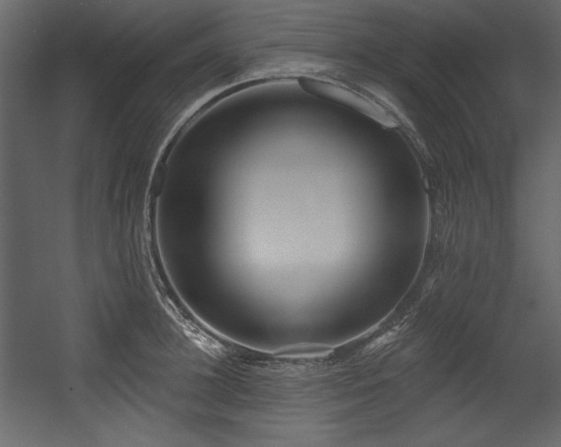 X0000054400948200508011319