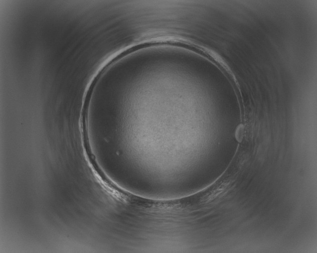 X0000054400951200508011319