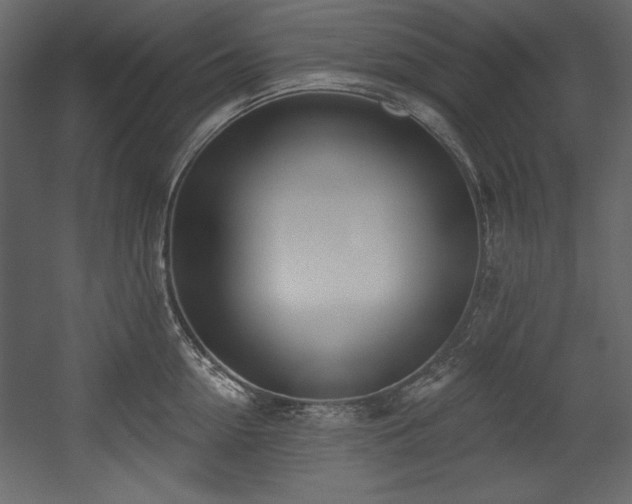 X0000054400954200508011319