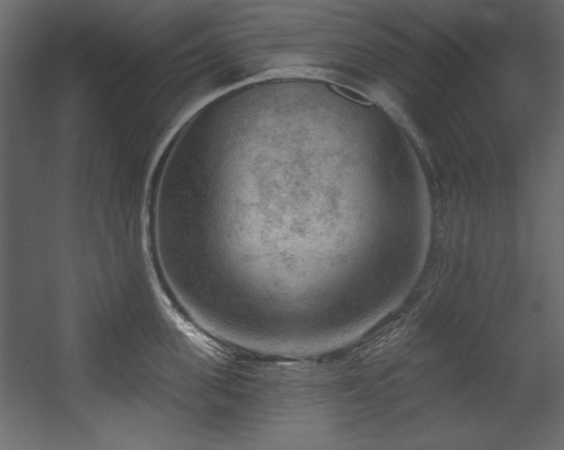 X0000054400955200508011319