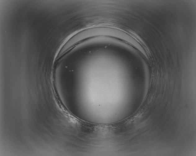 X0000054400956200508011319