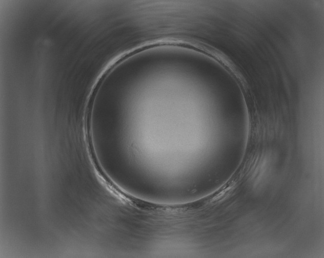 X0000054400958200508011319