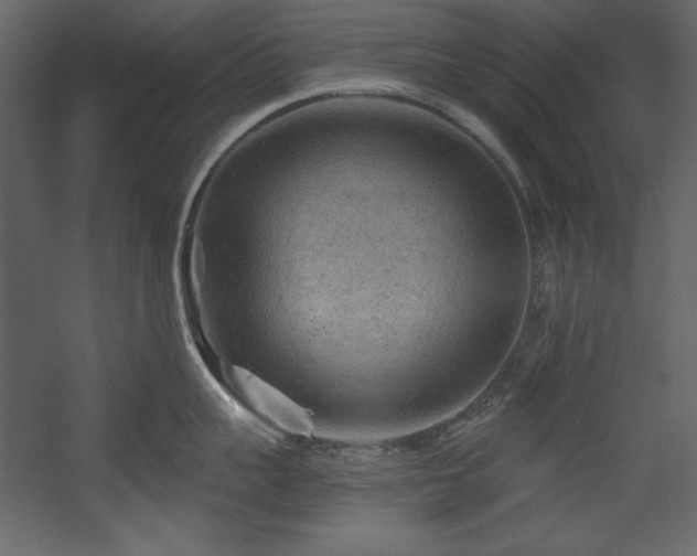 X0000054400959200508011319