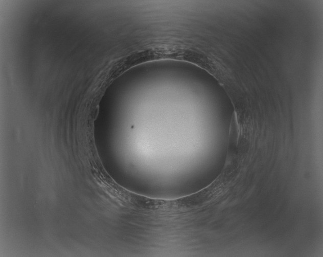 X0000054400961200508011318