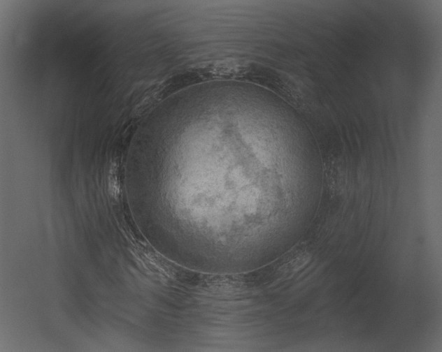 X0000054400962200508011318