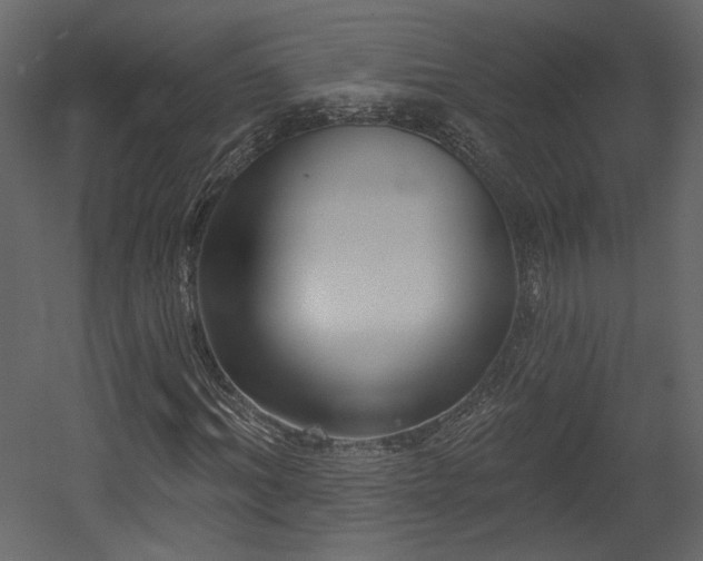 X0000054400964200508011318