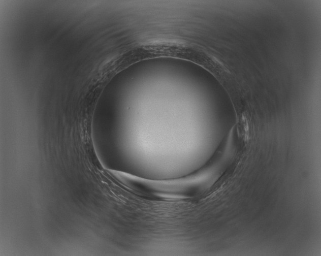 X0000054400965200508011318
