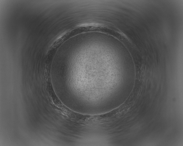X0000054400967200508011318