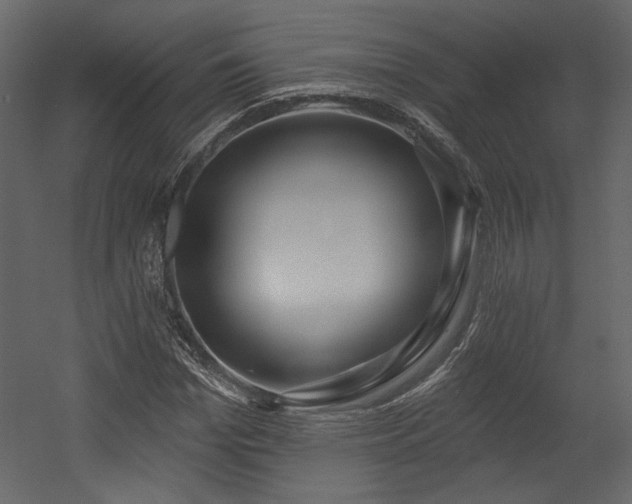 X0000054400969200508011318