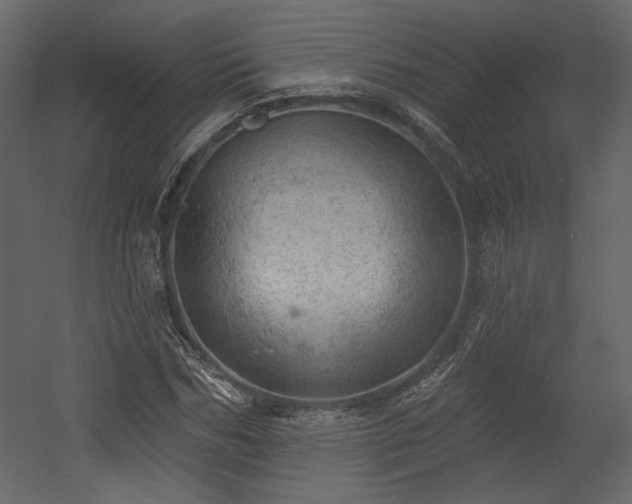 X0000054400970200508011318