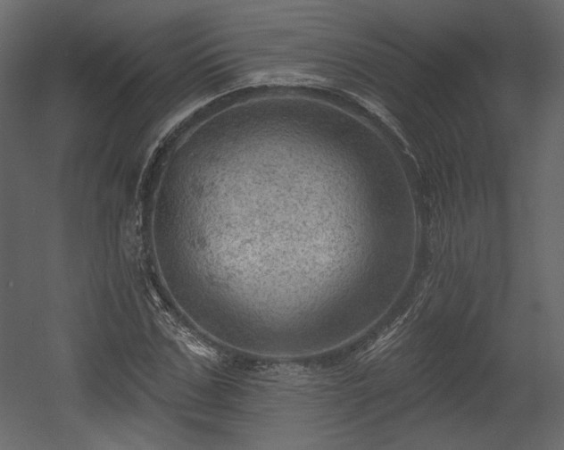X0000054400971200508011318