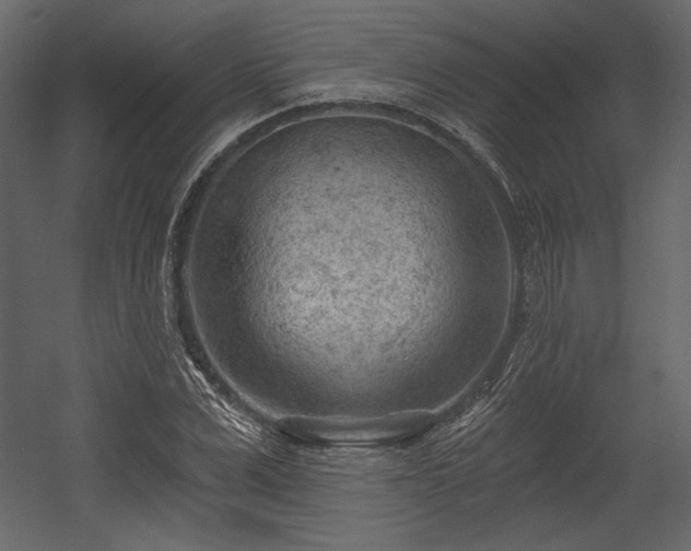 X0000054400975200508011318