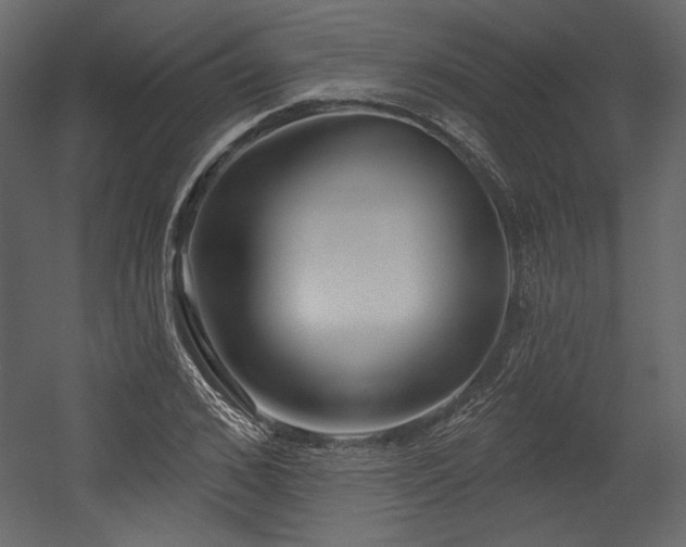 X0000054400976200508011318
