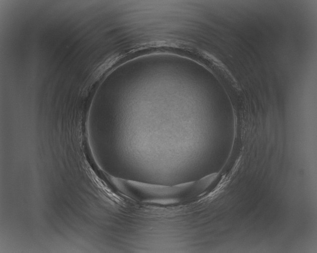 X0000054400977200508011318