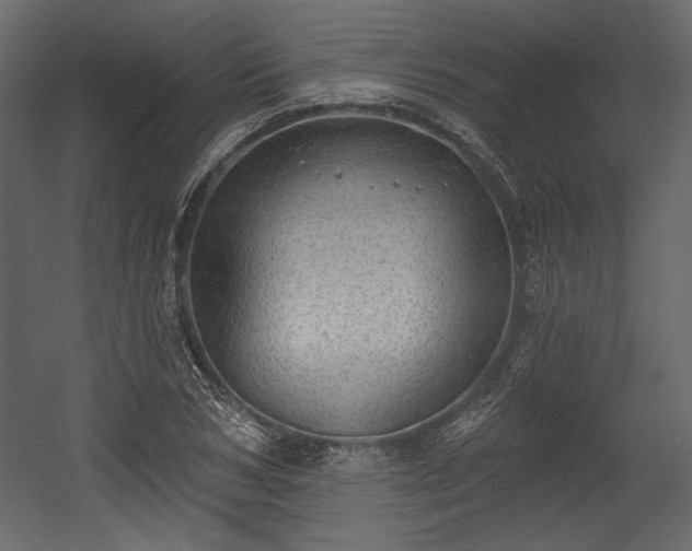 X0000054400978200508011318