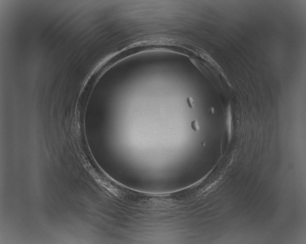 X0000054400981200508011318