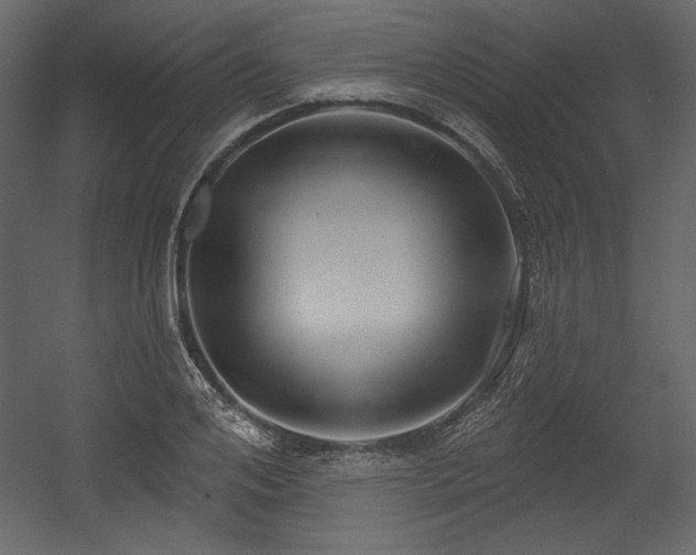 X0000054400984200508011318