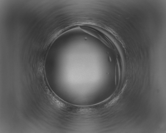 X0000054400985200508011318