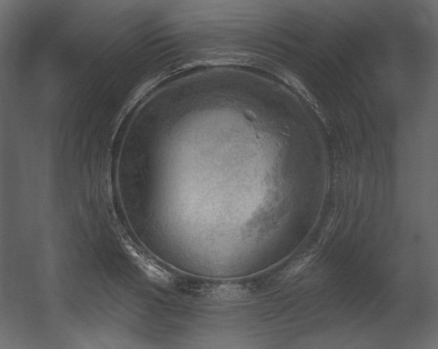 X0000054400986200508011318