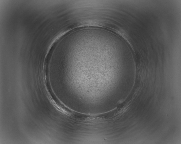 X0000054400987200508011318
