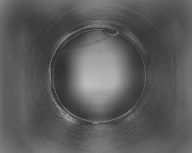 X0000054400988200508011318
