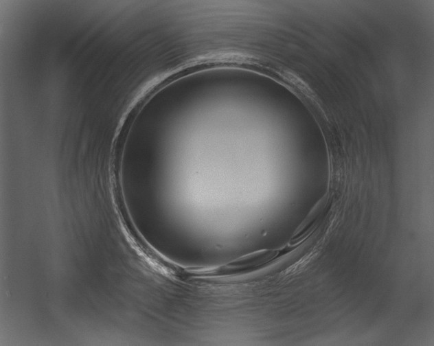 X0000054400989200508011318