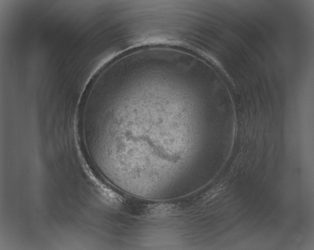 X0000054400991200508011318