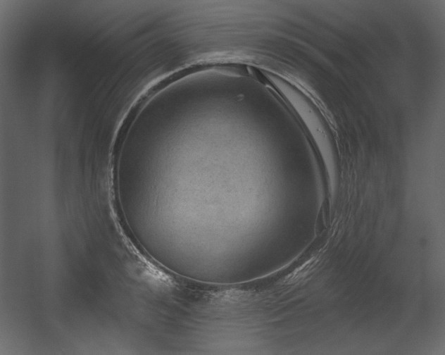 X0000054400992200508011318