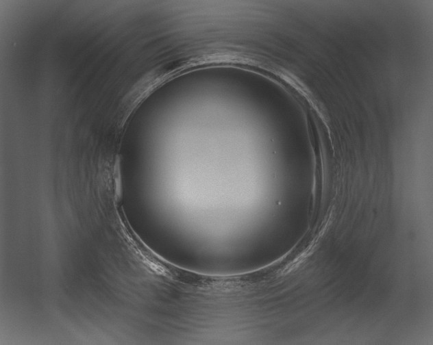 X0000054400993200508011318