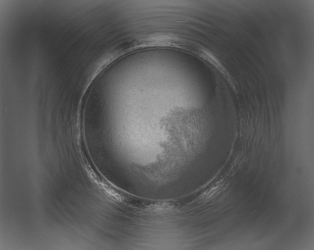 X0000054400994200508011318