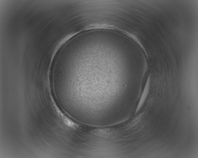 X0000054400995200508011318
