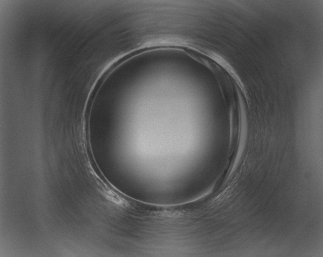X0000054400996200508011318