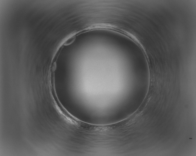 X0000054401003200508011317