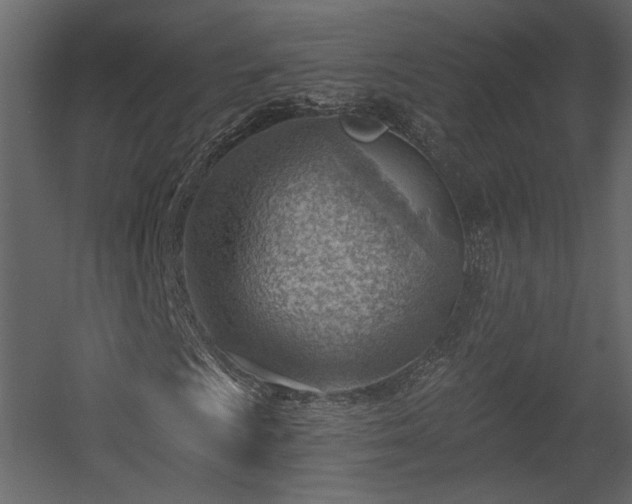 X0000054401009200508011317