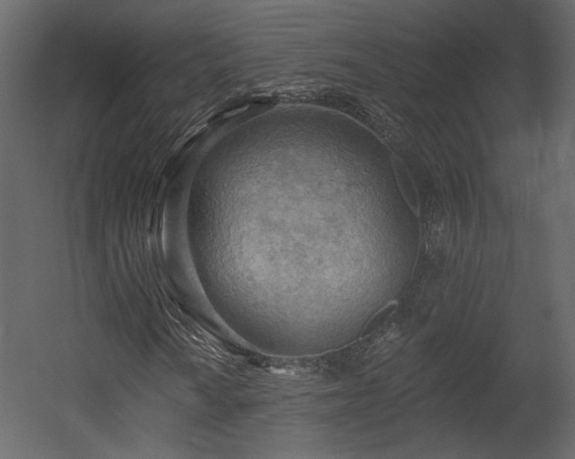 X0000054401010200508011317