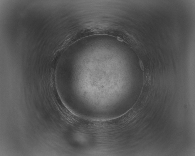 X0000054401012200508011317